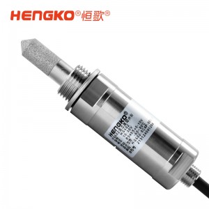 恒歌602-C系列露點(diǎn)測(cè)量?jī)x_冷干機(jī)專(zhuān)用露點(diǎn)儀