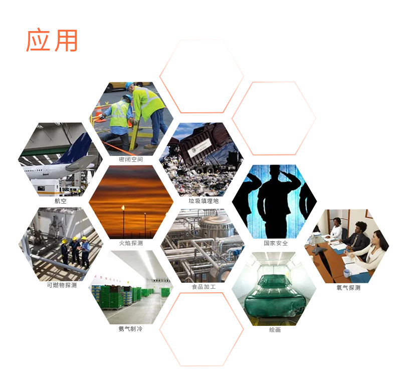 氣體探測(cè)儀傳感器