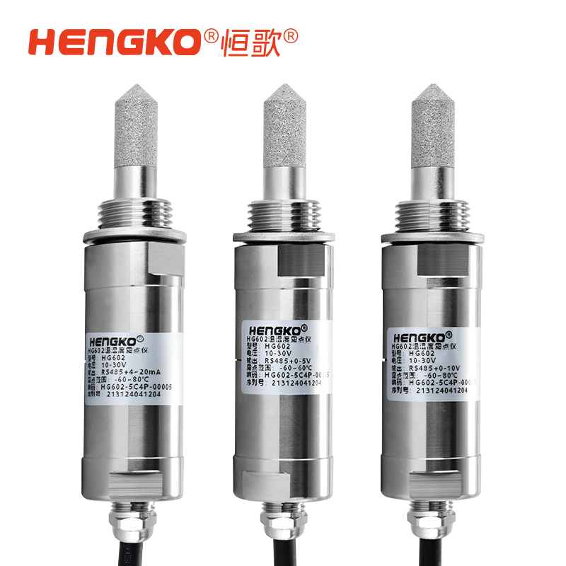 HG602-C系列露點(diǎn)變送器_冷凍式干燥機(jī)露點(diǎn)測量儀 Featured Image